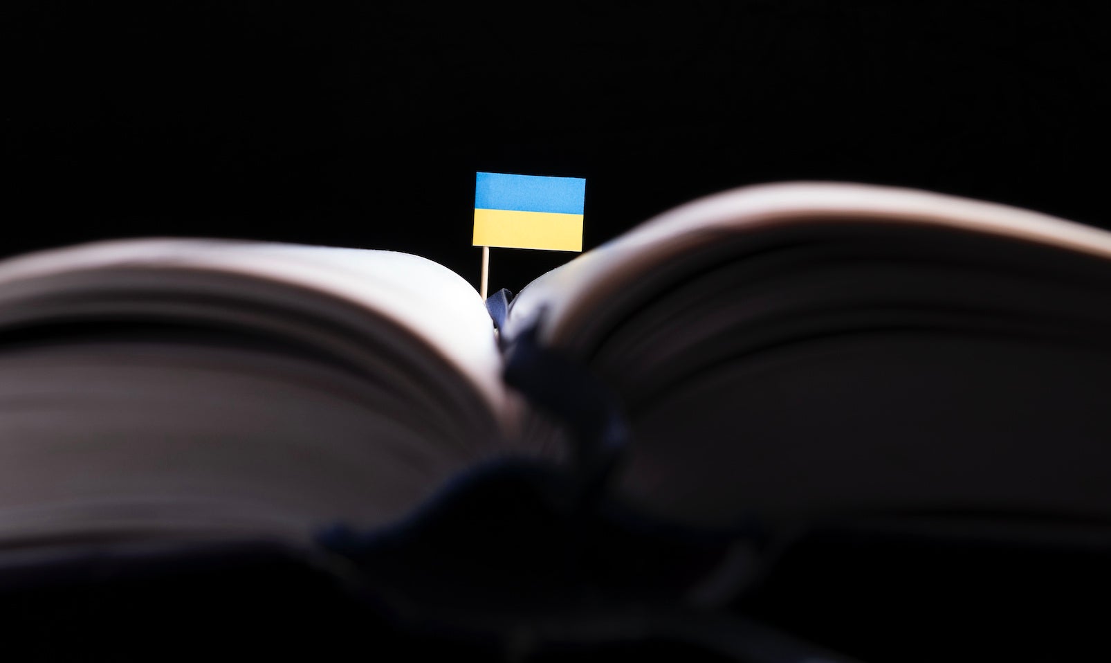 A small Ukrainian flag on a toothpick peeks out of an open book.